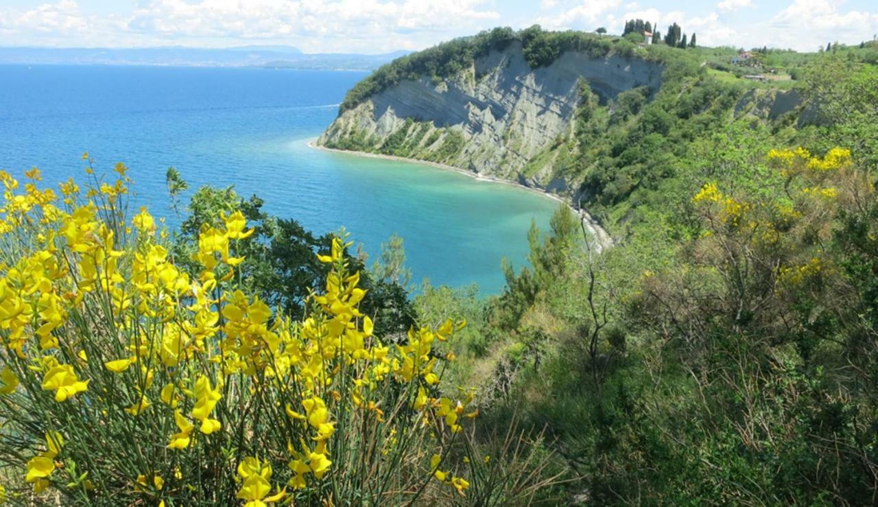 Apartment In Villa, Near Piran Strunjan Zewnętrze zdjęcie